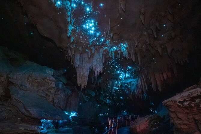 Milky Way Glowworm Cave Tour - FAQ