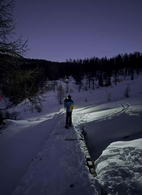 Milky Way: night snowshoe hike with a typical dinner in a mountain hut - What Travelers Say About This Experience