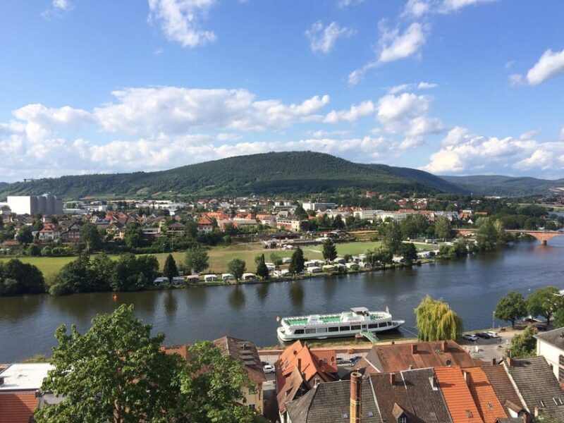 Miltenberg - Private Walking Tour - Practical Details & What You’ll Experience