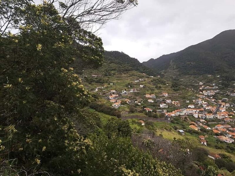 Mimosa Valley Trail: Explore Maroços - What’s Truly Special About the Mimosa Valley Trail?