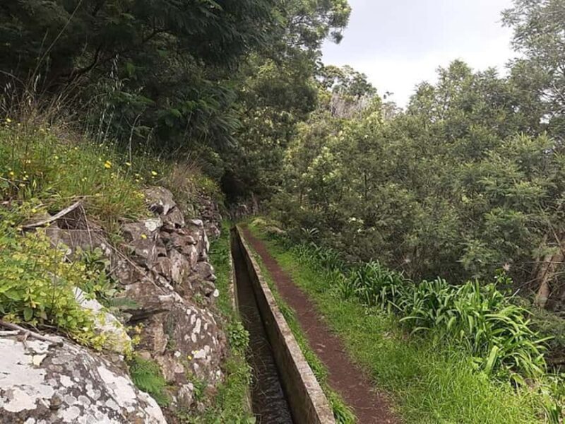 Mimosa Valley Trail: Explore Maroços - Price and Value