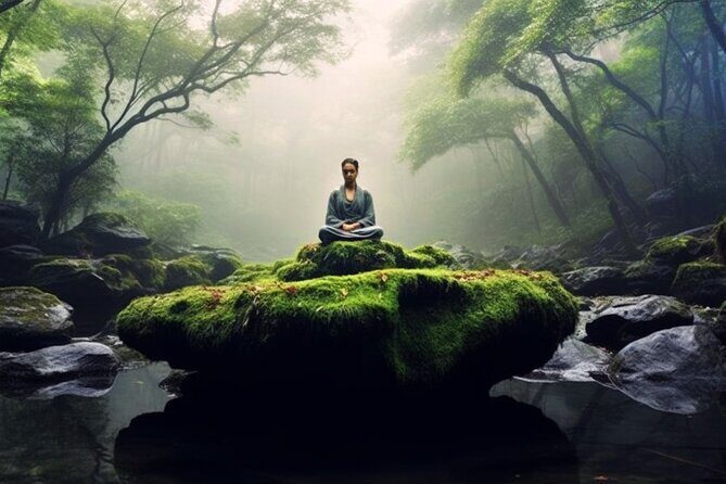 Mindful Meditation and Dharma Talks around the Big Island - What Makes This Tour Stand Out