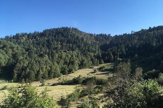 Mineral del Monte Hidalgo Mountain Bike Tour - FAQ