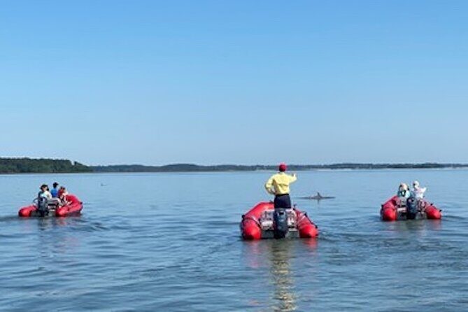 Mini Boat Tour with stop at Disappearing Island - What to Expect on the Tour: A Deep Dive