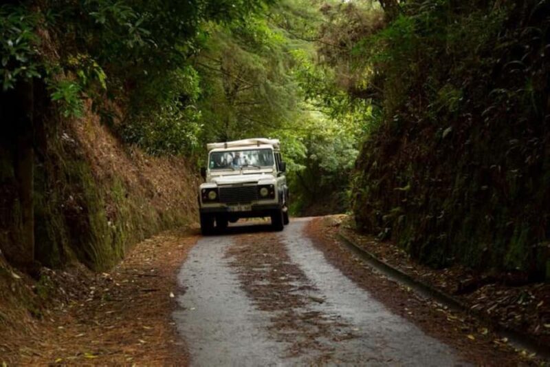 Mini Combo East Challenge - Levada and Jeep Safari - Discovering Madeira’s Southeastern Coast in 4 Hours