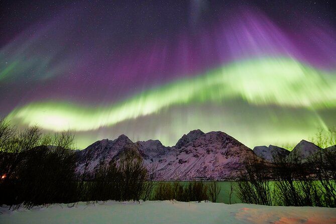 Minivan Northern Lights excursion (8 guests per minivan) - Photography Help Without Needing Your Own Camera