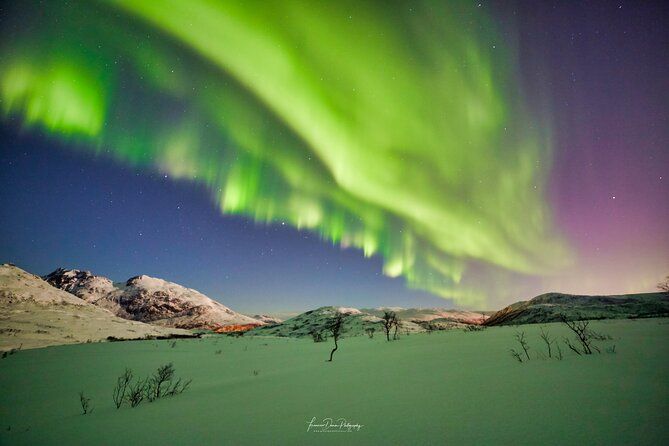 Minivan Northern Lights excursion (8 guests per minivan) - Guide Quality: The Real Upgrade Is Knowledge