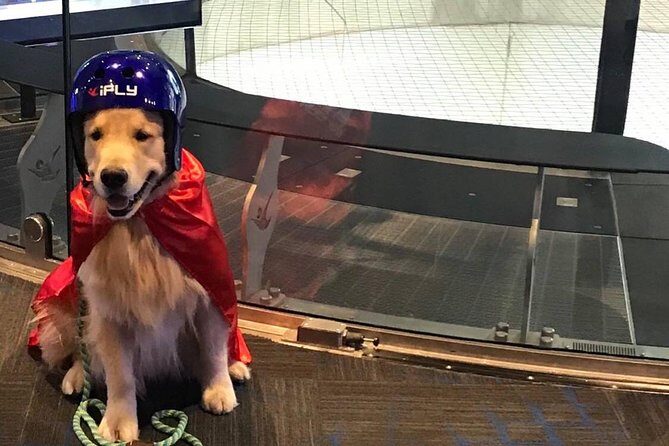 Minneapolis Indoor Skydiving Admission with 2 Flights & Personalized Certificate - The Value and Cost Consideration