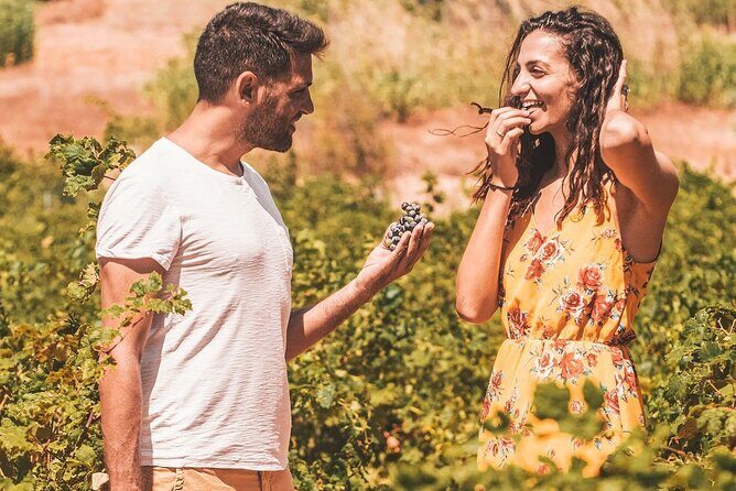 Minoan Crete from 3.000 BC: Knossos Palace & Museum with Wineries from Heraklion - Exploring the Heart of Crete: Is this Tour Right for You?