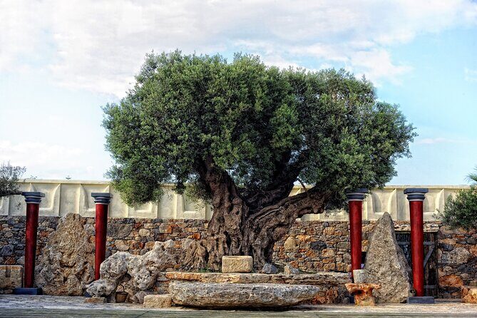 Minoan Day Experience - The Itinerary in Detail