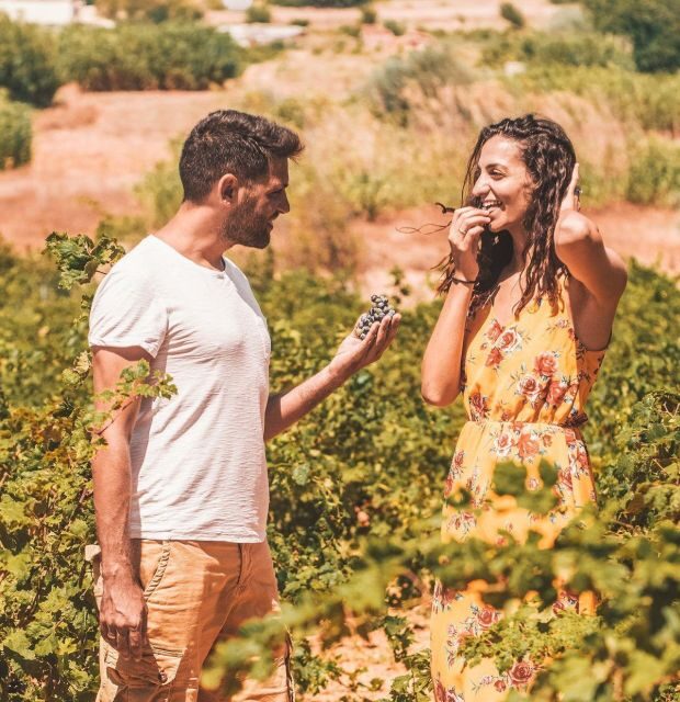 Minoan Luxuries: Ancient Palaces, Messara Wineries & Matala - Key Points