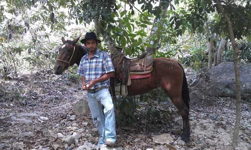 Mismaloya Jalisco: Rancho Manolo Horseback Tour - Practical Details