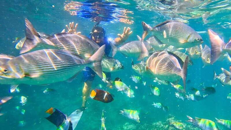 Mismaloya: Snorkeling, Cliff Jumping, and Beach Tour - The Value Proposition