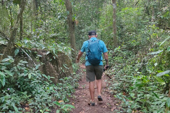 Mismaloya Waterfalls Private Tour in Puerto Vallarta - Key Points