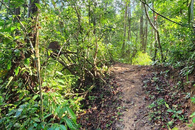 Mismaloya Waterfalls Private Tour in Puerto Vallarta - Who Should Consider This Tour?