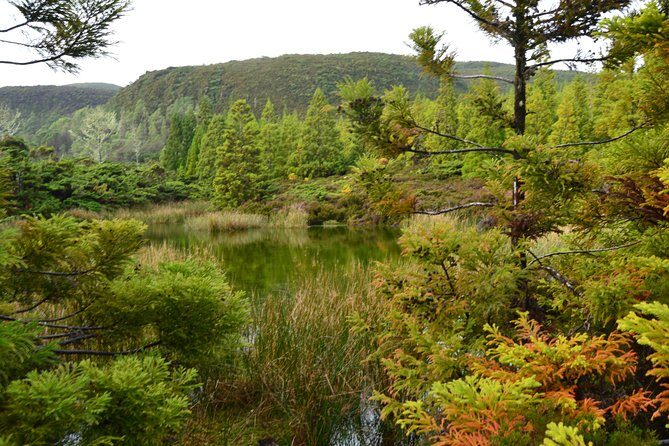 Mistérios Negros Hiking Trail - Terceira Azores - Exploring the Mistérios Negros Hiking Trail