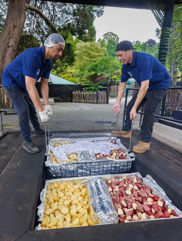 Mitai Maori Village: Cultural Experience and Dinner Buffet - Cultural Performance and Haka: Songs, Dances, and Taonga of Meaning