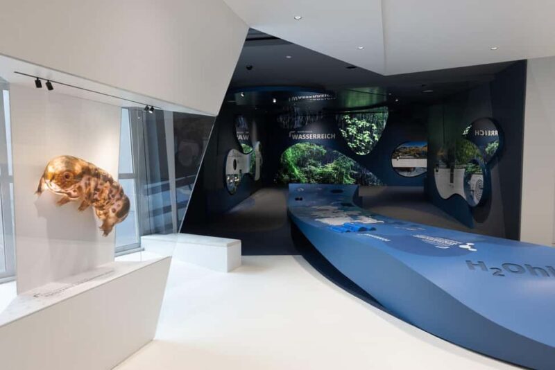 Mittersill: Visitors become "National Park Worlds Time Travelers" - Exploring the Heart of the Hohe Tauern from Mittersill