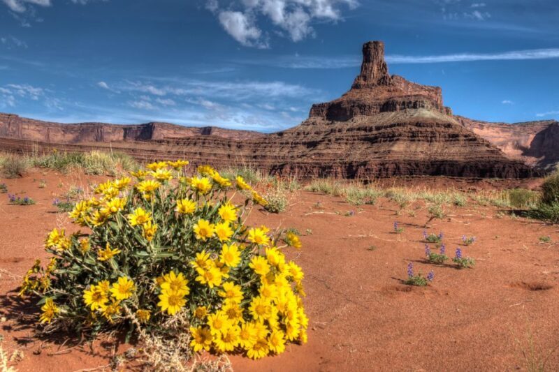 Moab: Canyonlands National Park 4x4 White Rim Tour - Guided Hikes and Optional Stops