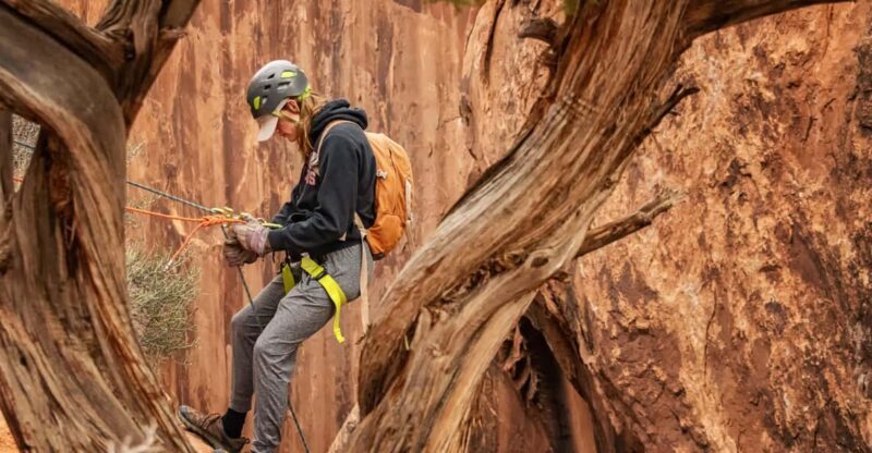 Moab: Fins and Things Canyoneering Adventure tour - Key Points