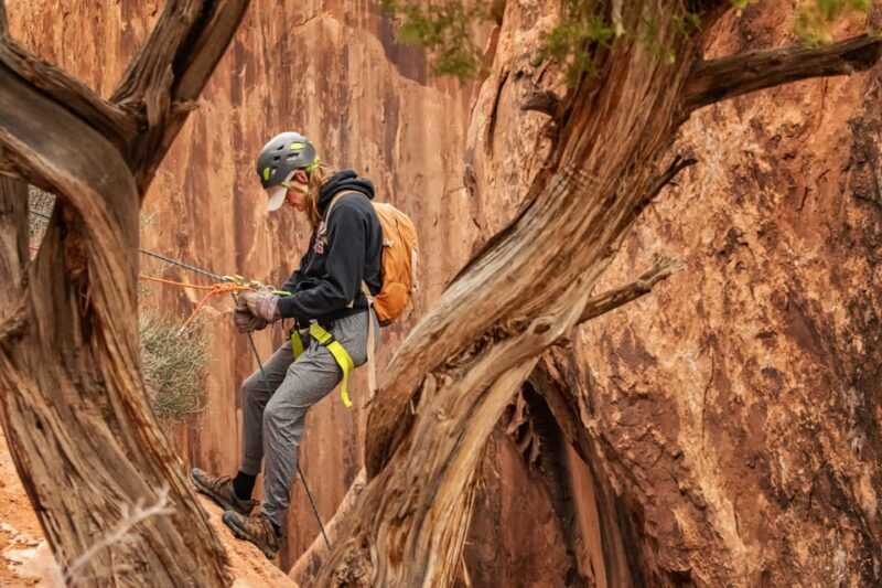 Moab: Fins and Things Canyoneering Adventure tour - FAQ