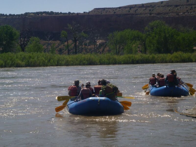 Moab: Full-Day Colorado Rafting Tour - Key Points