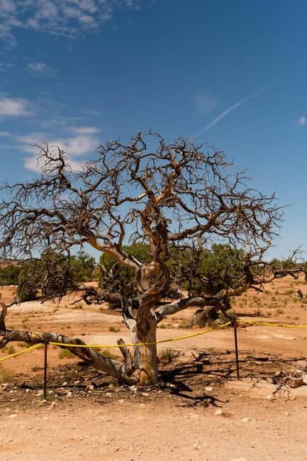 Moab Half Day Jeep Tour - Final Thoughts