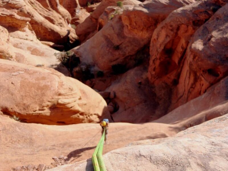 Moab: Morning or Afternoon Half-Day Rappelling Tour - What to Expect from This Moab Rappelling Adventure