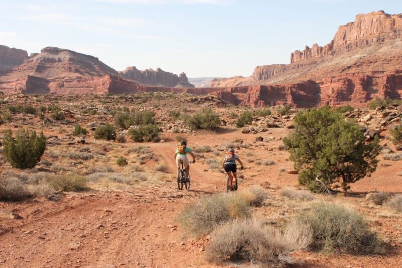 Moab: Mountain Bike Half Day Tour - What to Expect from Your Moab Mountain Bike Half Day Tour