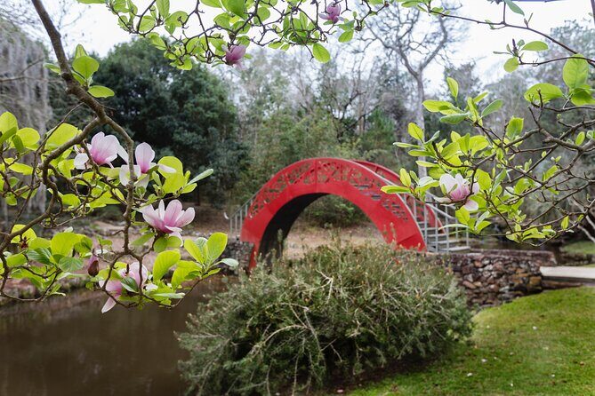 Mobile City Multi-Attraction Pass - What the Tour Includes and How It Works