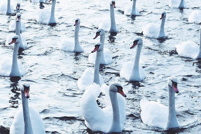 Mobile photography workshop - What’s Included and What’s Not?