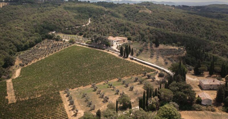 Mocenni Premium - A Friendly Look at the Mocenni Premium Wine Experience in Tuscany