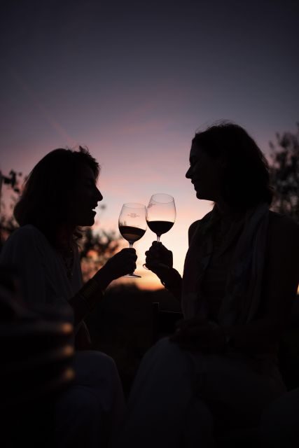 Mocenni Premium - Key Points