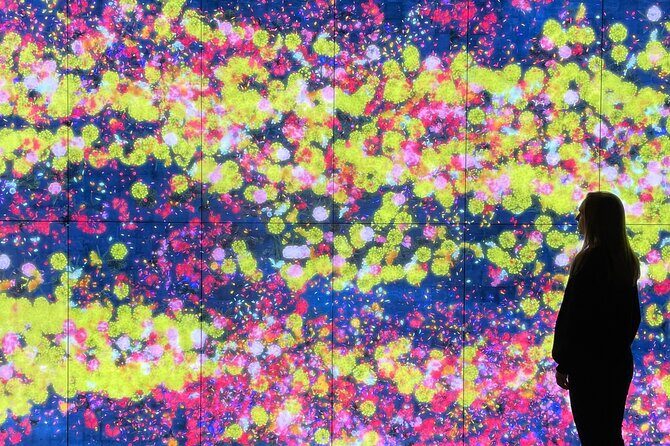 Moco Museum Barcelona Admission Ticket - Practical Logistics That Matter