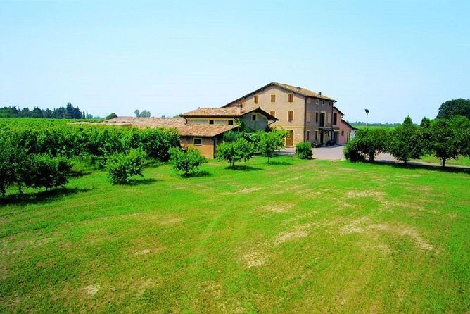 Modena area: Balsamic Vinegar Aceto Tasting Experience - What to Expect During the Tour