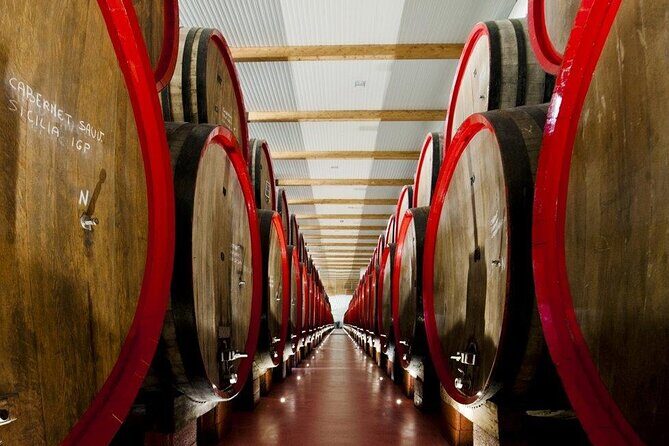 Modena area: Lambrusco Wine Tasting Experience - Who Should Consider This Tour?