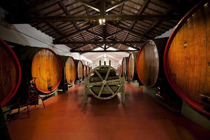 Modena area: Lambrusco Wine Tasting Experience - FAQ
