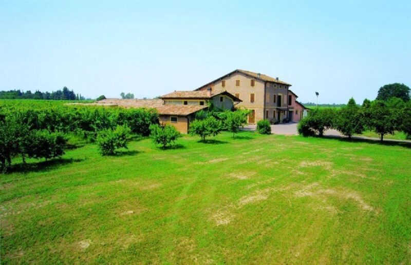 Modena: Balsamic Vinegar Tasting Experience - Key Points