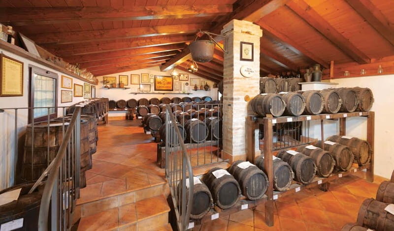 MODENA: BALSAMIC VINEGAR TOUR AND TASTING - What Is the Modena Balsamic Vinegar Tour and Tasting?