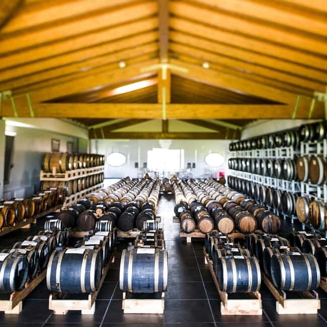 Modena: Balsamic Vinegar Tour, Parmigiano & Gelato Tasting - What the Reviews Say