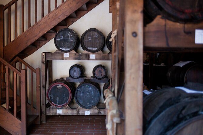 Modena Food:Prosciutto,Parmigiano,Balsamic,Wine,Lunch,Transport - The Itinerary: What to Expect from Each Stop