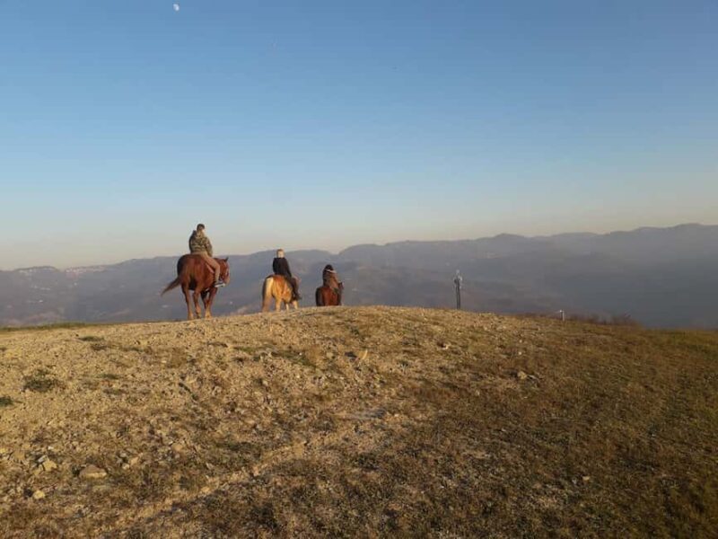 Modena: Horseback Riding Tour in the Apennines - Key Points