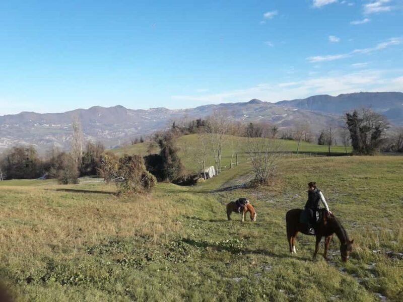 Modena: Horseback Riding Tour in the Apennines - What to Expect on This Horseback Riding Tour