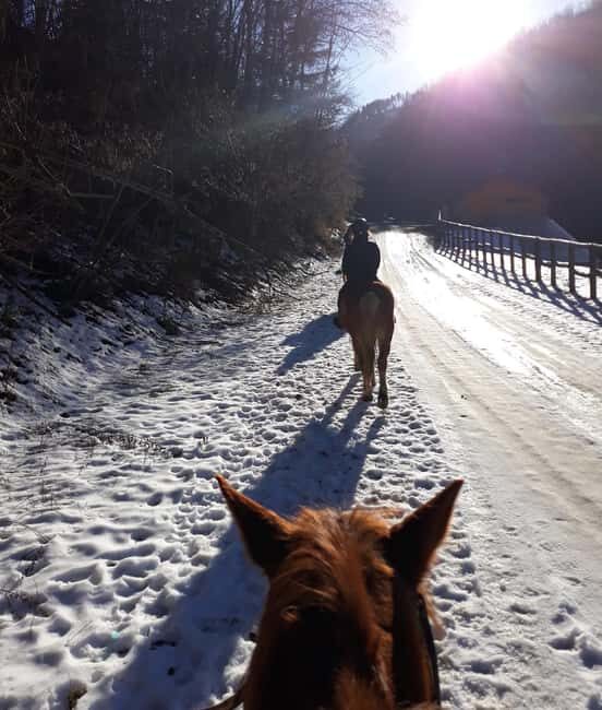 Modena: Horseback Riding Tour in the Apennines - The Value for Your Money