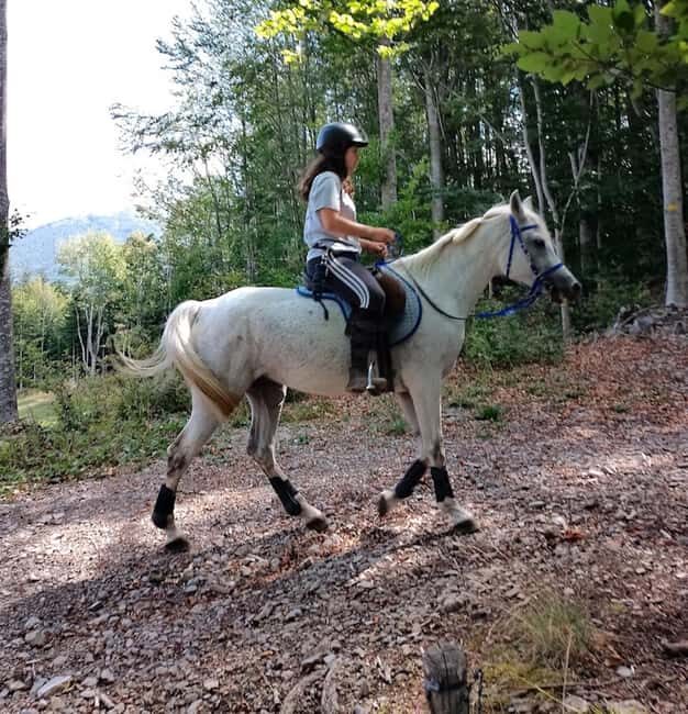Modena: Horseback Riding Tour in the Apennines - FAQ