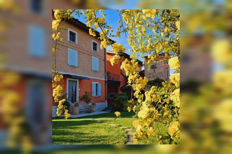 Modena:Tour&Taste of Bio & Traditional Balsamic Vinegar DOP - Who Should Consider This Tour?