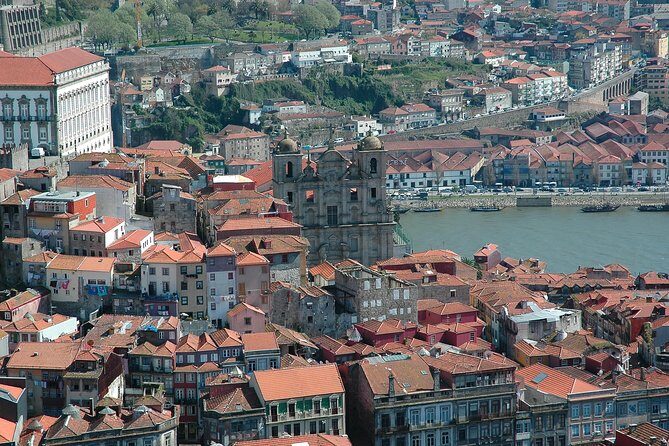 Modern Art Oporto - What You’ll Love About the Tour