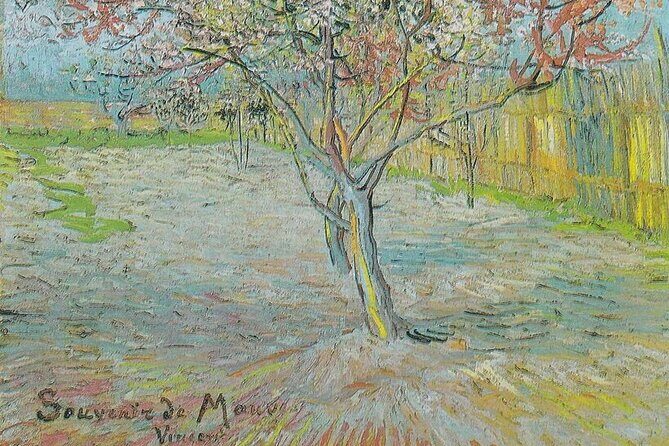 Modesto Almond Blossom Tour: Explore & Discover - Audio Tour - The Experience in Detail