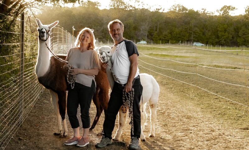 Mödling/Vienna: Scenic Guided Hike with Alpacas and Llamas - Why We Think This Tour Works