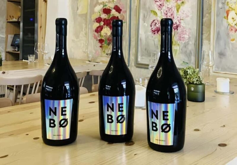 Modra: Local wine tasting in 16th century cellar - Key Points